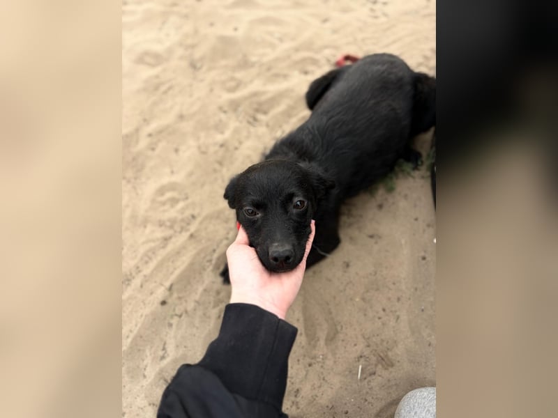 Fatima sucht Liebe und Geborgenheit