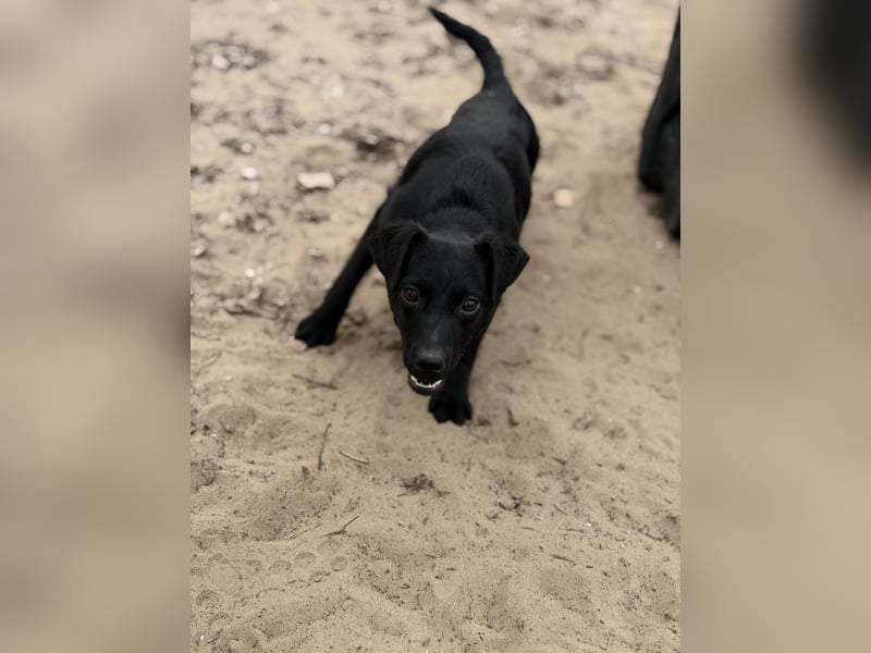 Amy bereit für ihr neues Leben