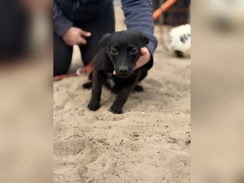 Fatima sucht Liebe und Geborgenheit