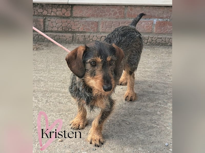 Kendy sucht ihre Herzensmenschen