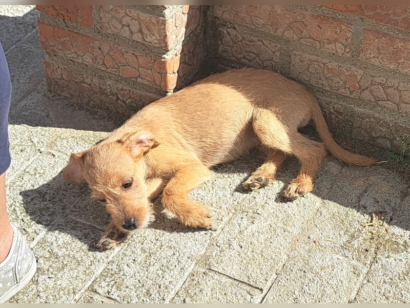 Kendy sucht ihre Herzensmenschen
