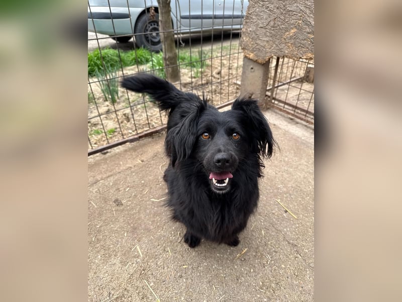 Pamacs wartet auf einen Neuanfang