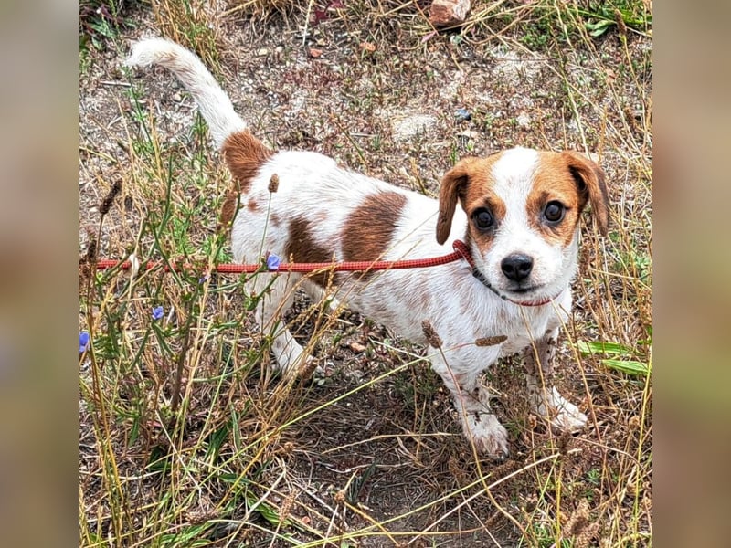 Die kleine Lilou kann bald in Hessen besucht werden