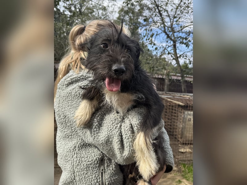 Lidi möchte endlich nicht mehr übersehen werden