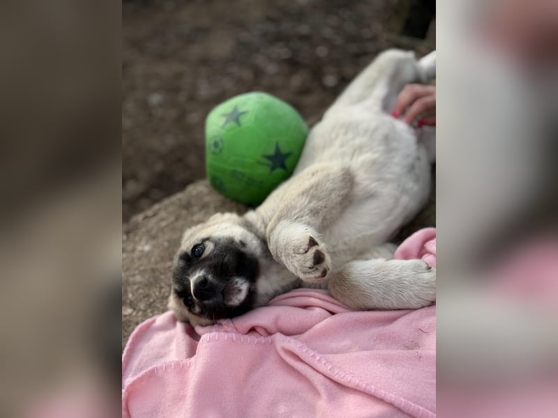 Nils ist pure Freude