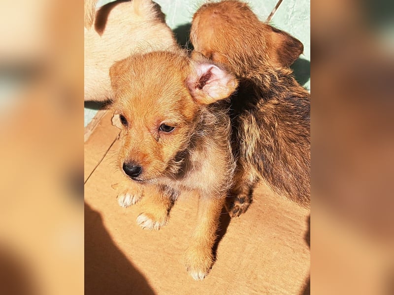 Kendy sucht ihre Herzensmenschen