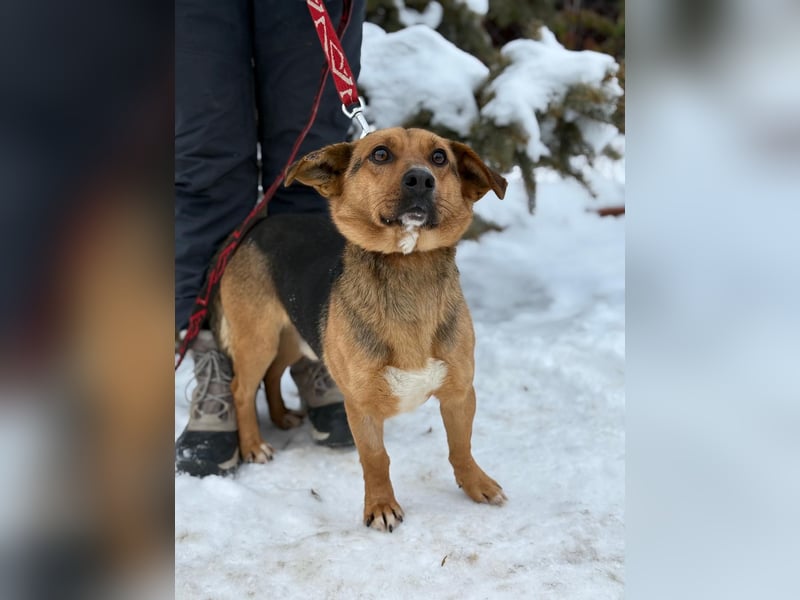 Hendri wartet auf ihr Happy End