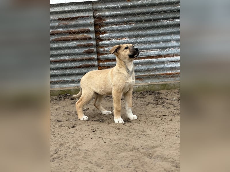 Nevio hat viel Liebe zu geben