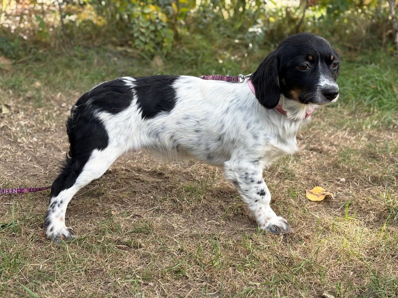 Envi möchte endlich nachhause Envi möchte endlich nachhause