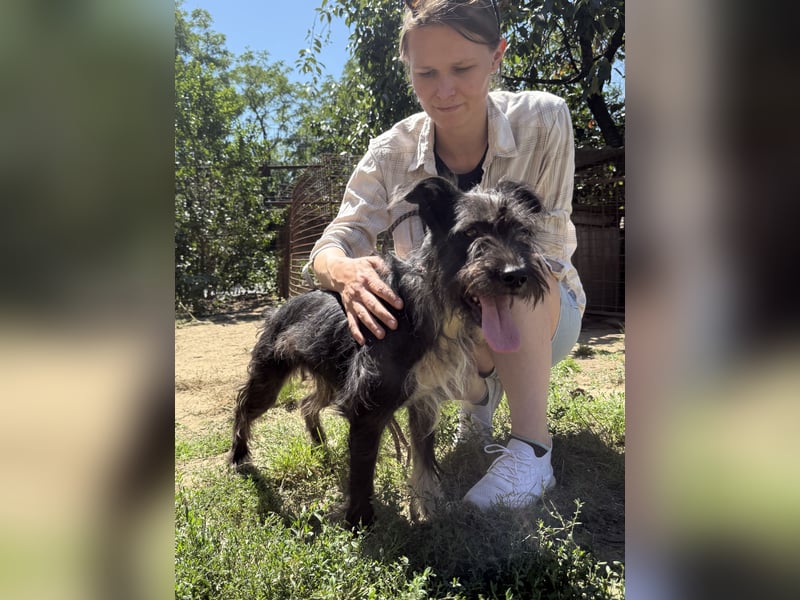 Lidi wartet sehnsüchtig auf ihre Familie