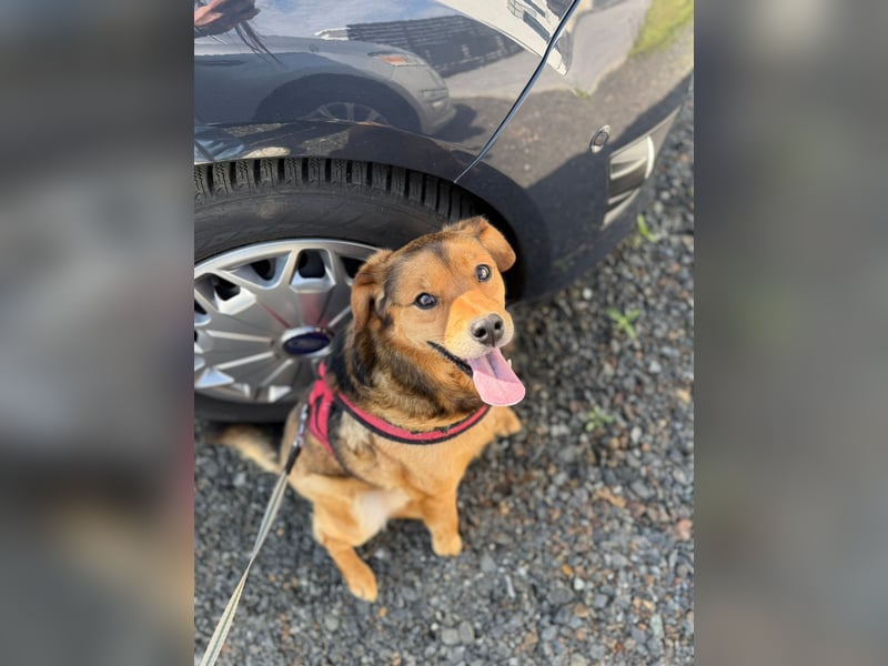 Wunderhübscher Bub möchte Rumänien vor dem kalten Winter dort verlassen