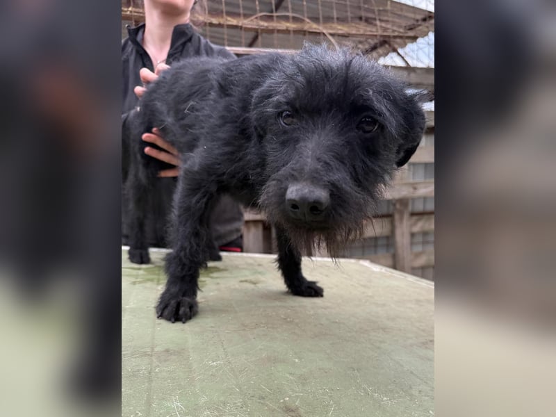 Jenga möchte die Welt mit dir entdecken