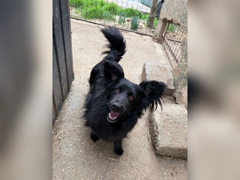 Pamacs wartet auf einen Neuanfang