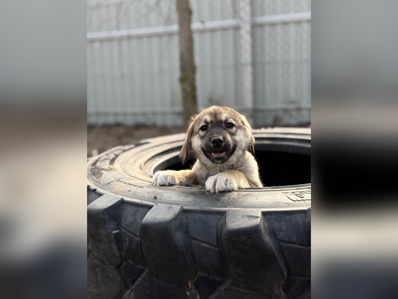 Nevin träumt von einem eigenen Zuhause