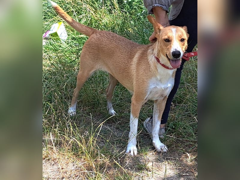 Zaria lebt in Rumänien und hätte gerne ein Zuhause für immer