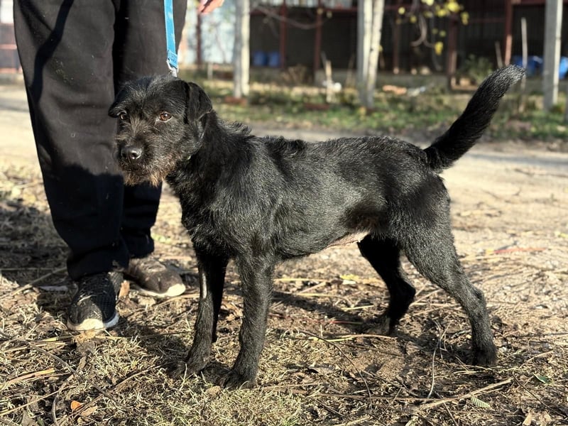 Leandra - Süße Maus will endlich ankommen!