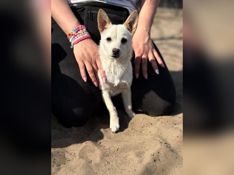 Bibe sucht ein Herz, das sie liebt