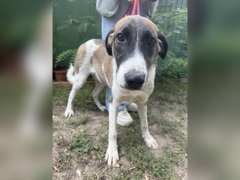 Hezöl sucht ihre Menschen