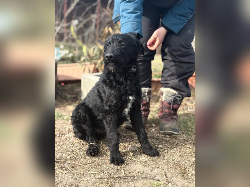 Kende wartet auf einen Neuanfang