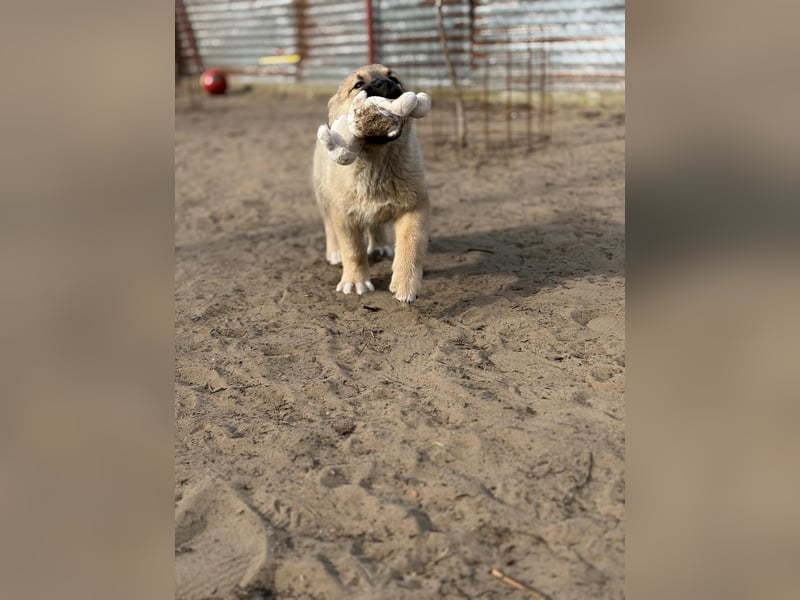 Nash hofft auf sein Glück