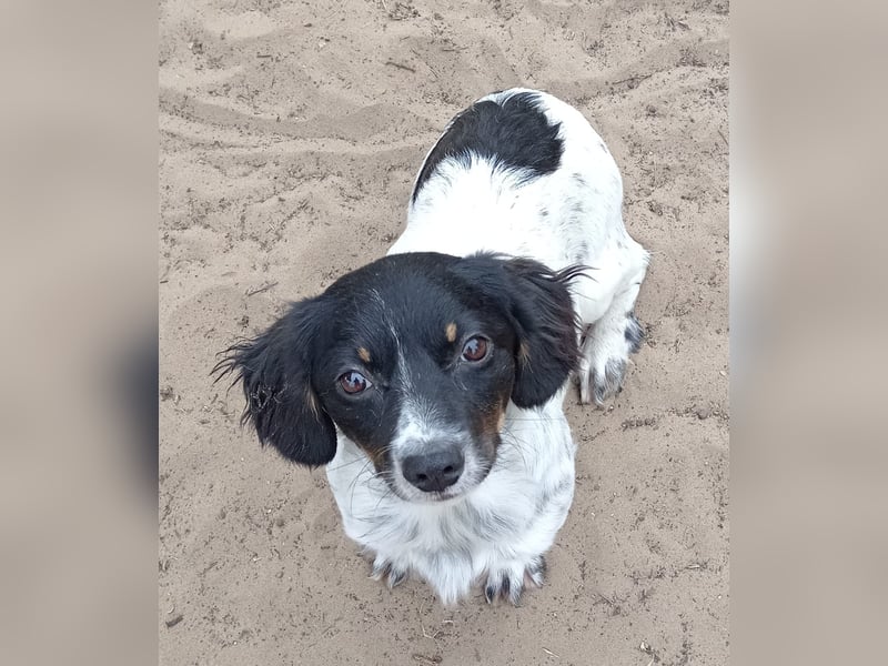 Envi möchte endlich nachhause Envi möchte endlich nachhause