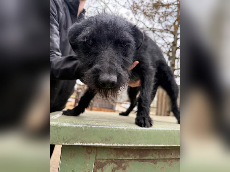 Jenga möchte die Welt mit dir entdecken