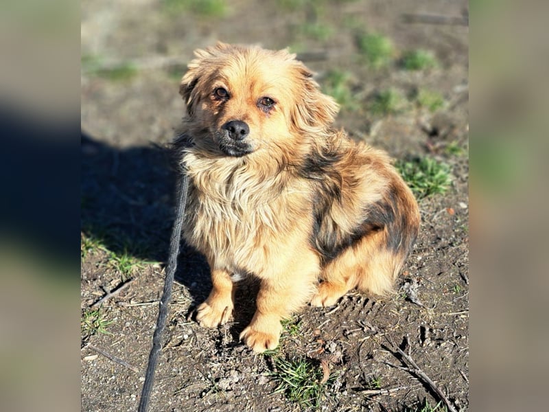 Toni wurde aus einer Gruppe gerettet, nun möchte er Rumänien verlassen