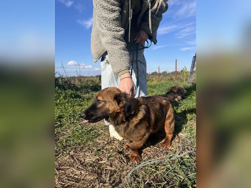 Luca - will nicht länger im kalten warten!