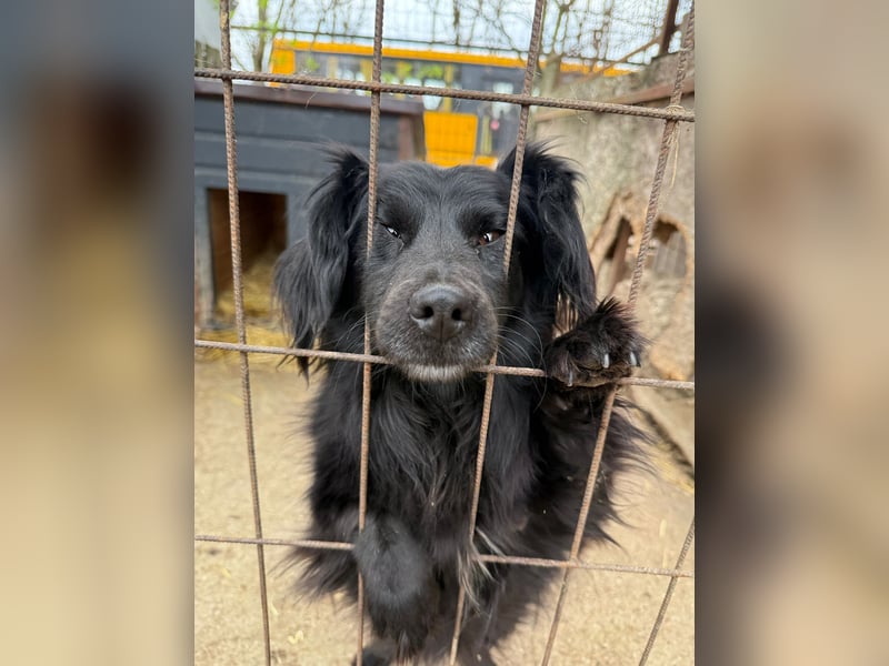 Pamacs wartet auf einen Neuanfang