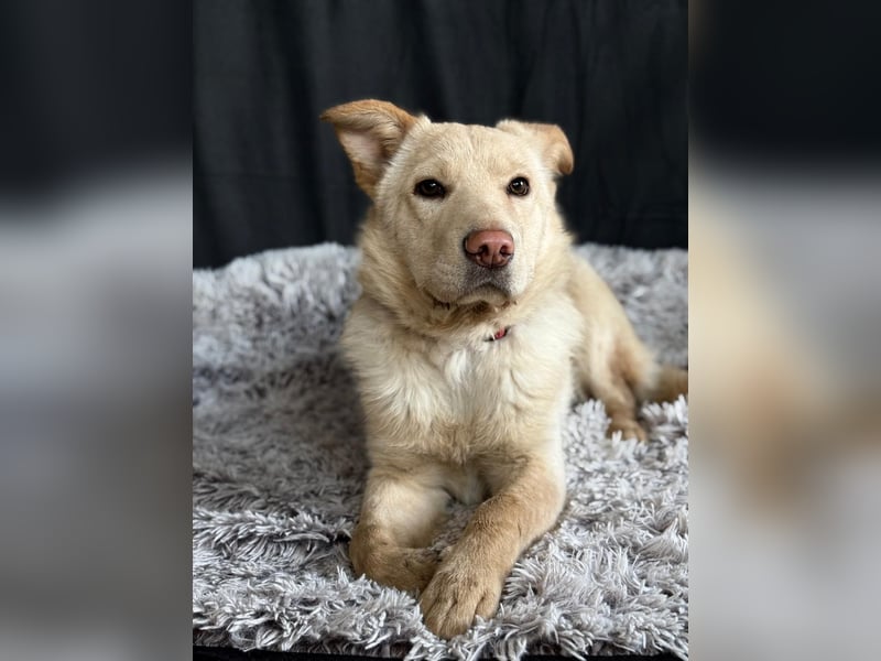 Pola möchte endlich geliebt werden