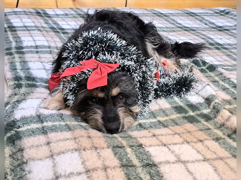 Irene lebt in Rumänien bei einer Pflegefamilie
