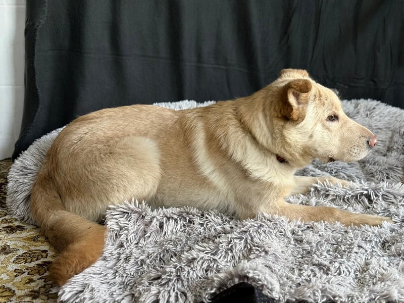 Pola möchte endlich geliebt werden