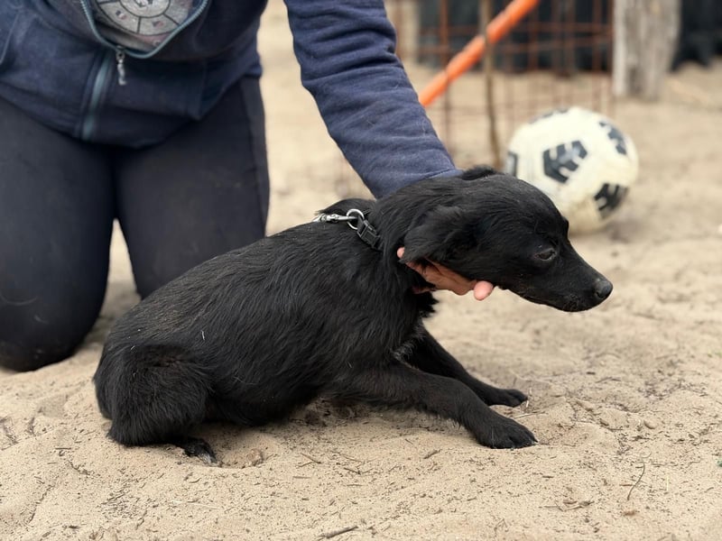 Fatima sucht Liebe und Geborgenheit