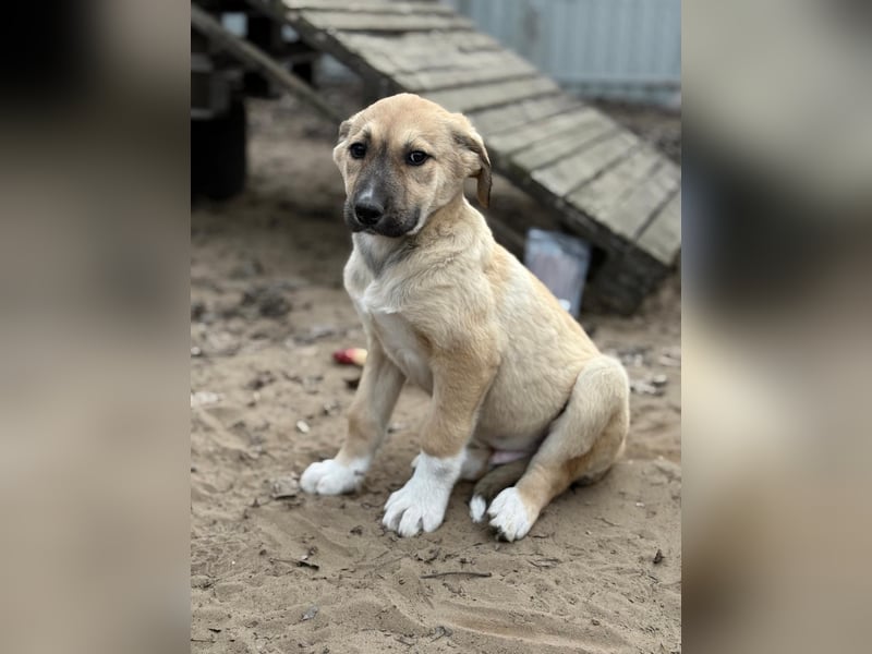 Nevio hat viel Liebe zu geben