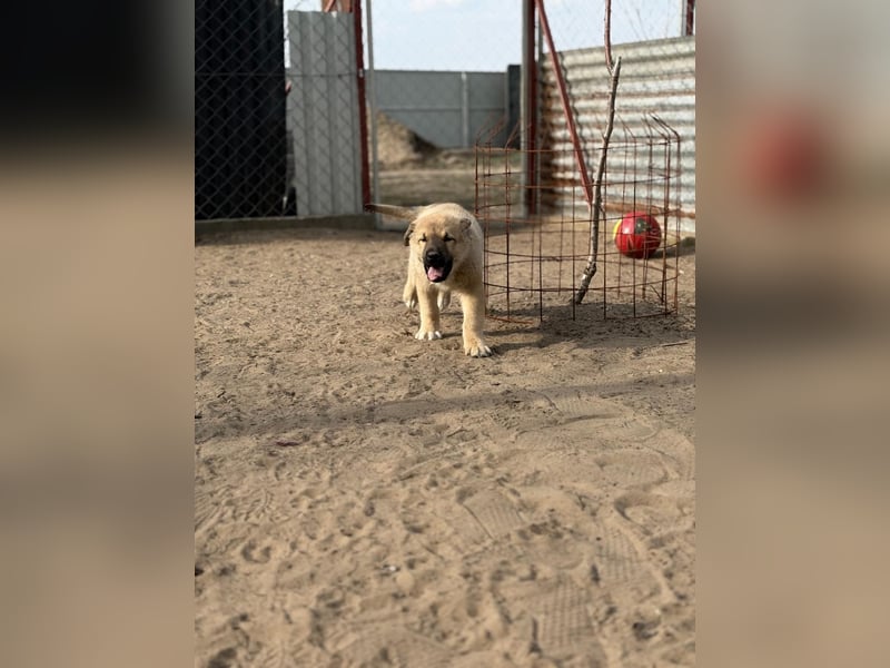 Nash hofft auf sein Glück