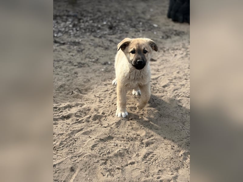 Nash hofft auf sein Glück