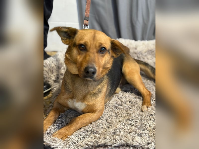 Hendri wartet auf ihr Happy End