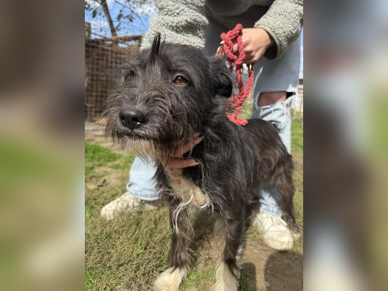 Lidi ist unser Sonnenschein