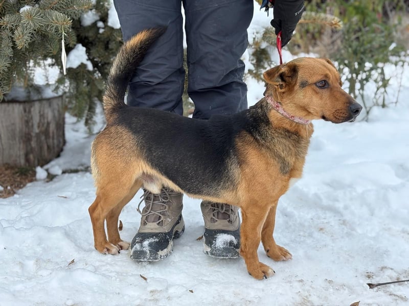 Hendri wartet auf ihr Happy End