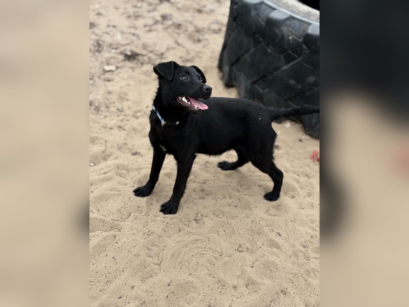 Amy bereit für ihr neues Leben