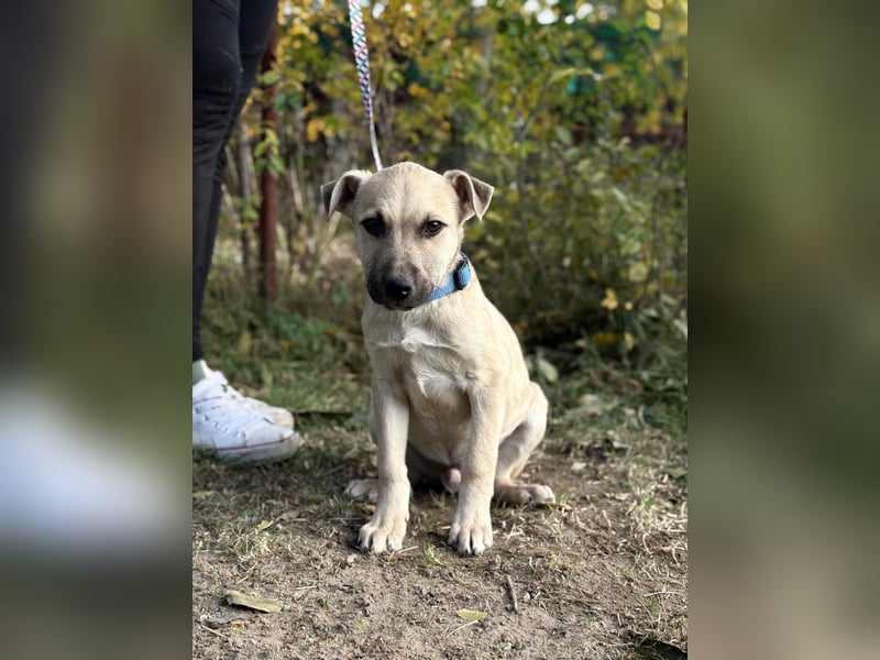 Ozan - wartet auf ein besseres Leben!