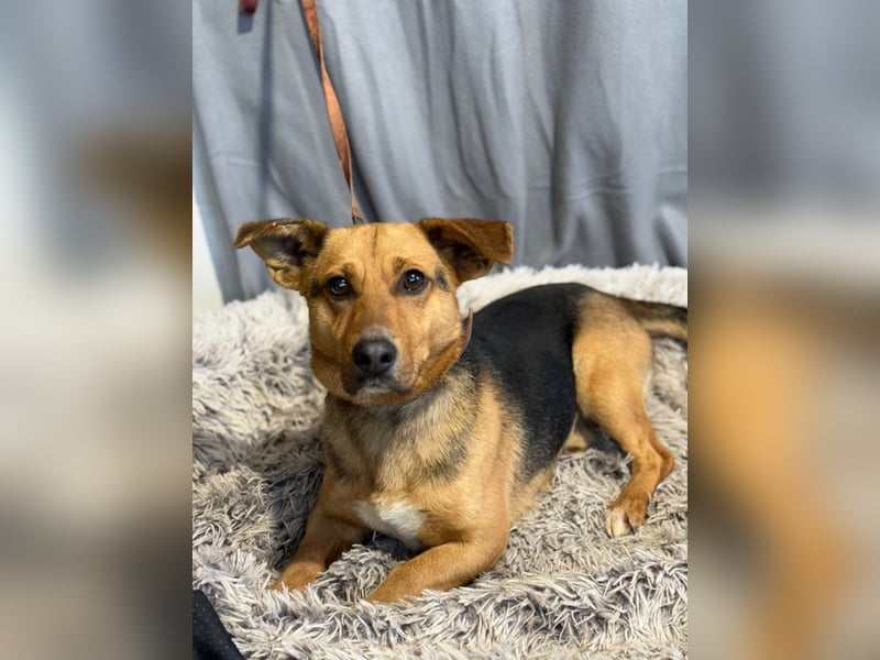 Hendri wartet auf ihr Happy End