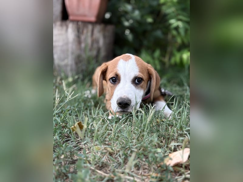 Olivi sucht ihre erste eigene Familie