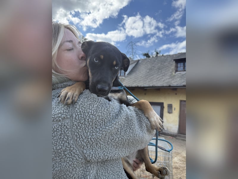 Rizling möchte zeigen, was in ihr steckt