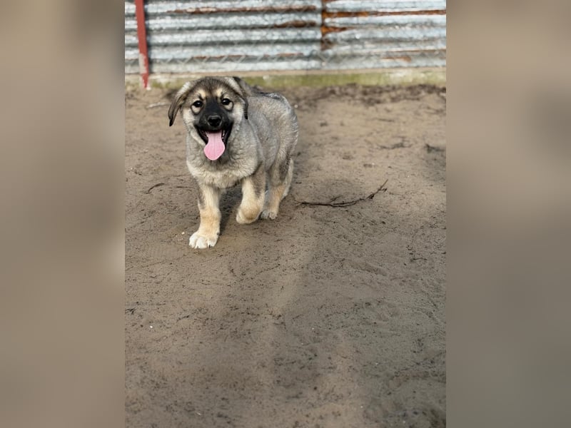 Nevin träumt von einem eigenen Zuhause