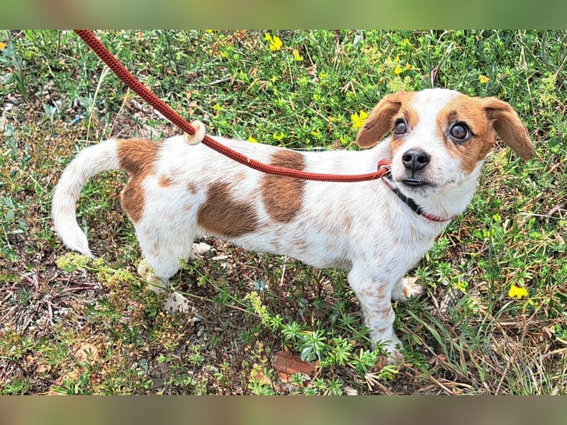 Die kleine Lilou kann bald in Hessen besucht werden