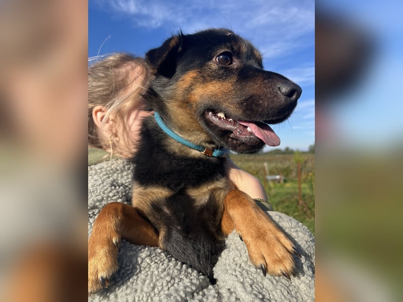 Kolos wartet auf dich