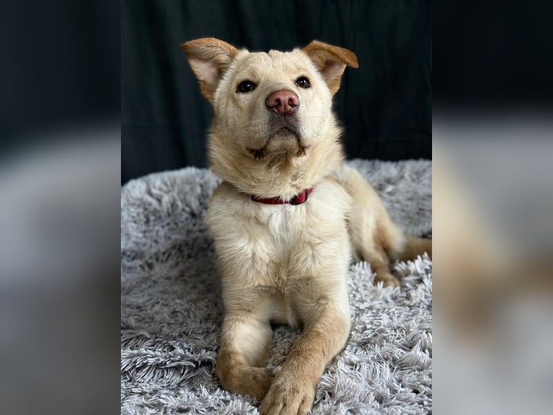 Pola möchte endlich geliebt werden