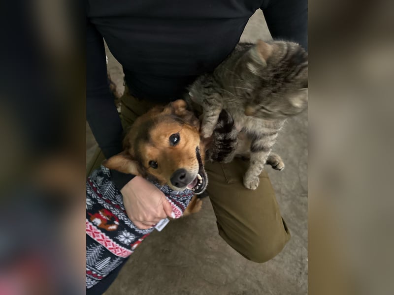 Wunderhübscher Bub möchte Rumänien vor dem kalten Winter dort verlassen