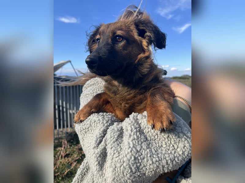 Luca - will nicht länger im kalten warten!